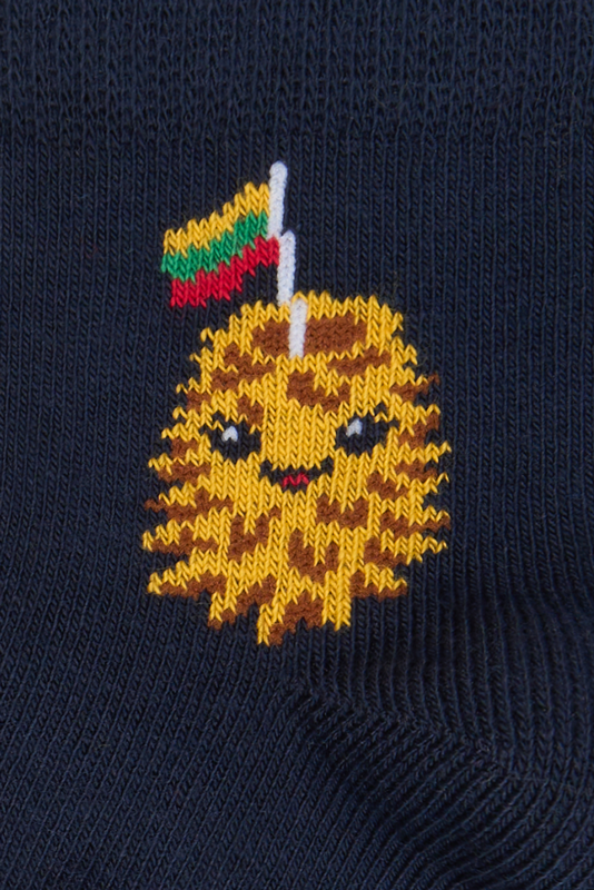 Kūdikių kojinės „LT šakotis“