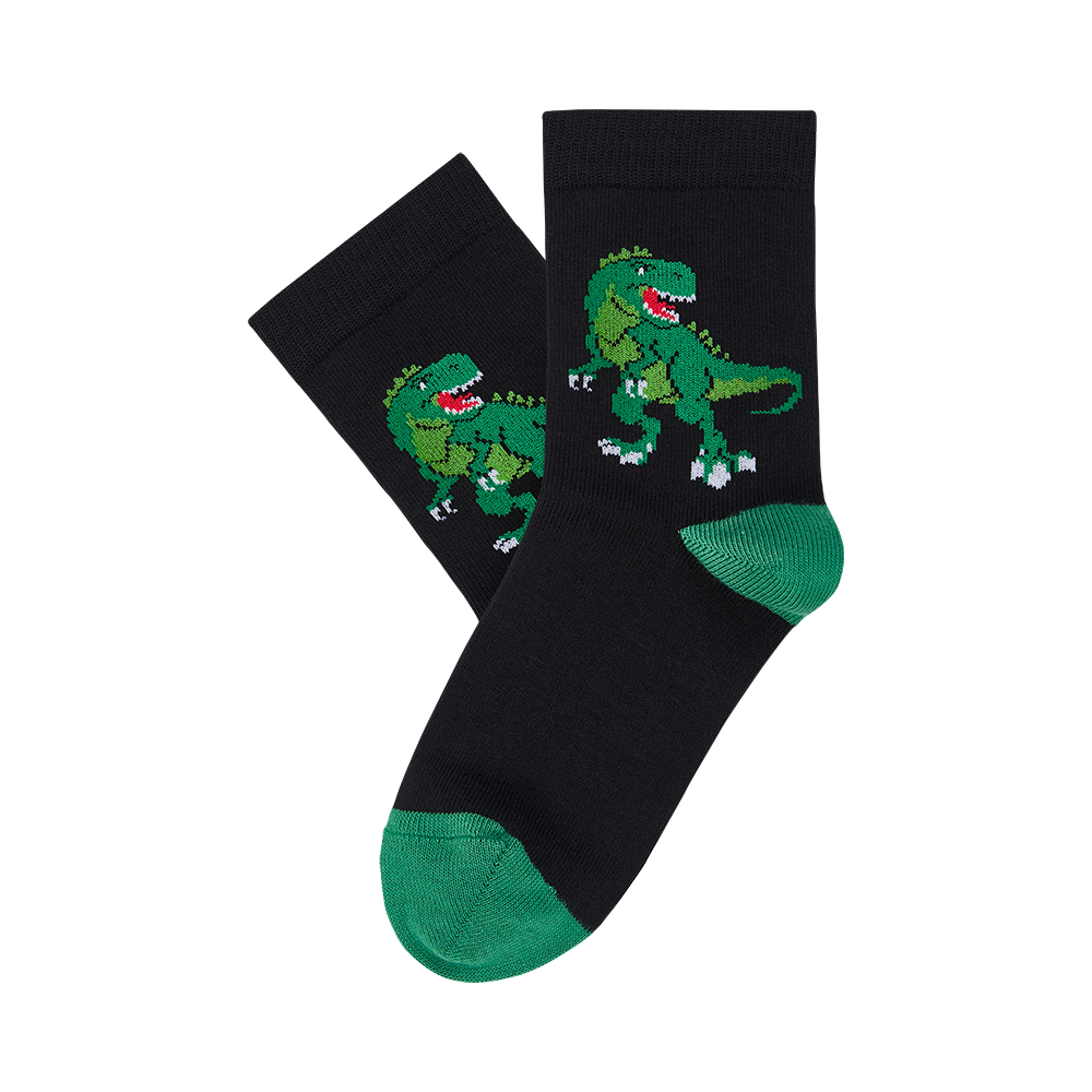 Vaikų kojinės „Dinozauras&quot; 2