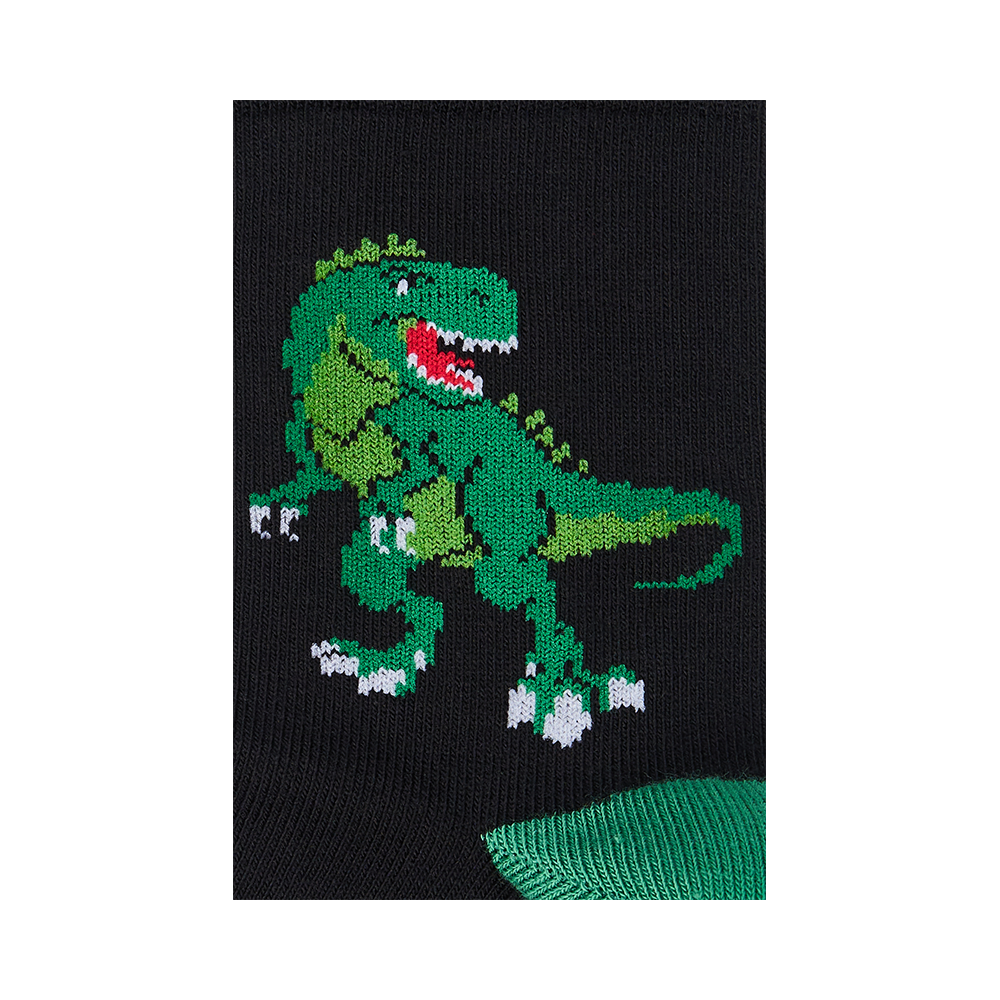 Vaikų kojinės „Dinozauras&quot; 3