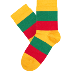 Vaikų kojinės „LT trispalvė“