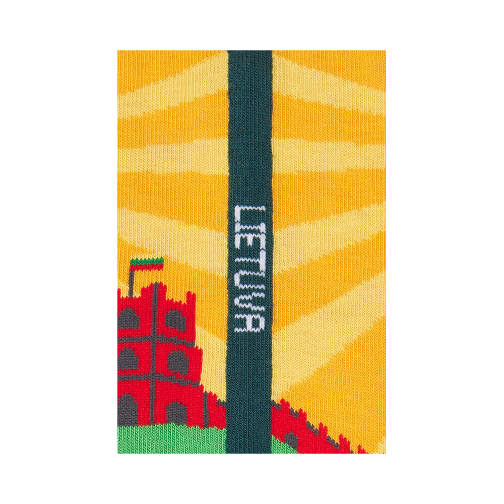 Moterų kojinės „LT peizažas“ 3