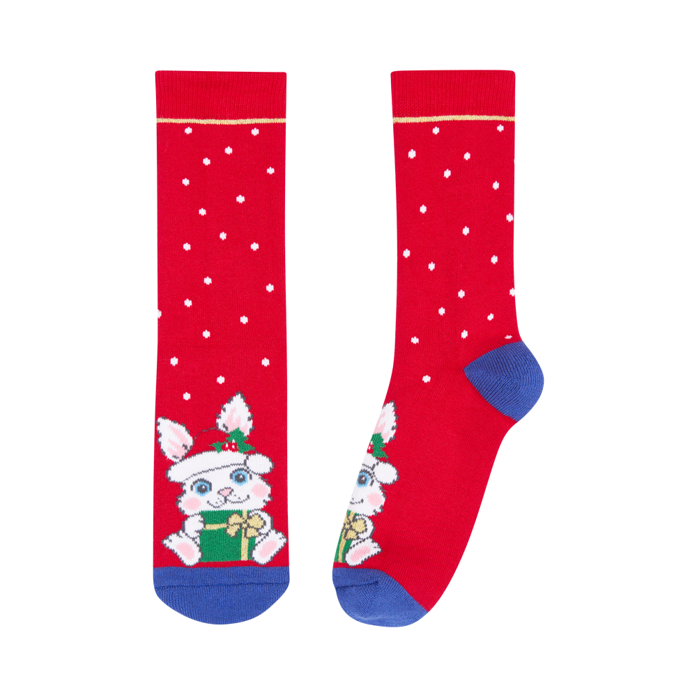 Vaikų kojinės „Triušis su dovana&quot; 2