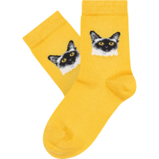 Vaikų kojinės „Noriu kačiuko“