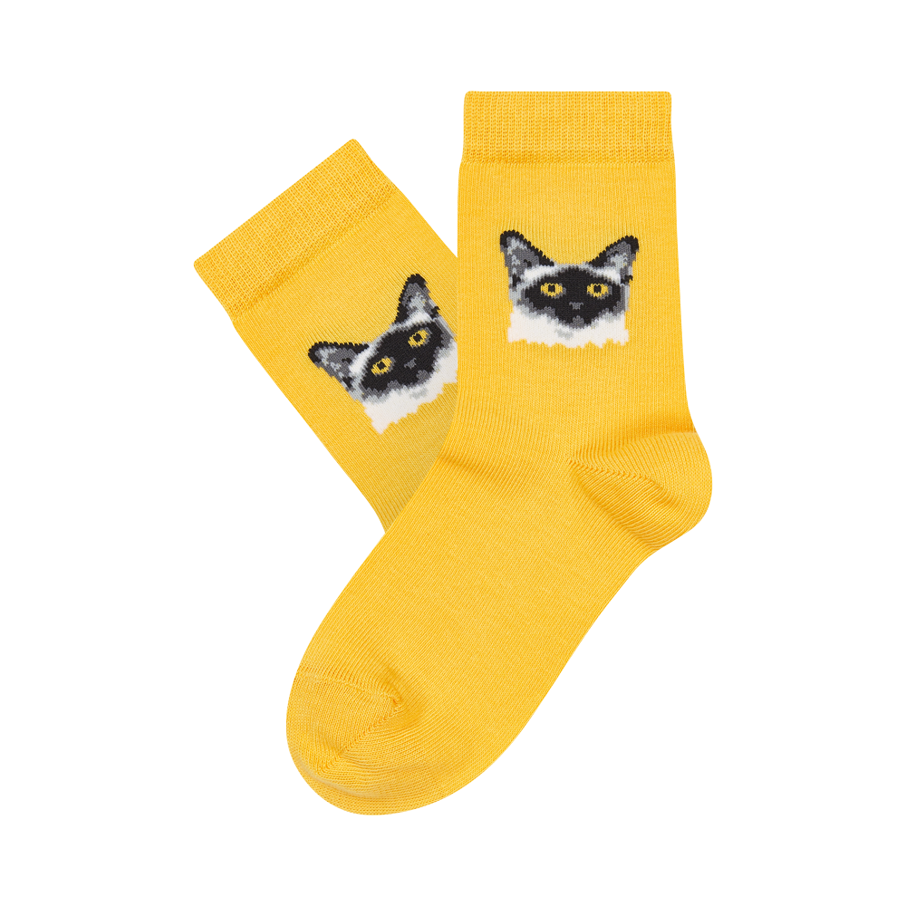 Vaikų kojinės „Noriu kačiuko“ 2