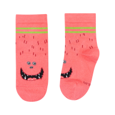 Vaikų kojinės „Monstras Mamaisa“