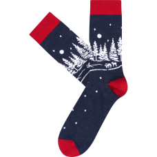 Vyrų kojinės „Kalėdų miškas“