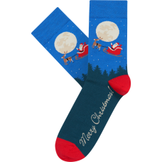 Vyrų kojinės „Kalėdų senio rogės“
