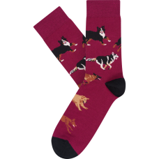 Moterų kojinės „Laimingi šunys“