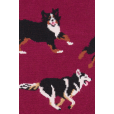 Moterų kojinės „Laimingi šunys“