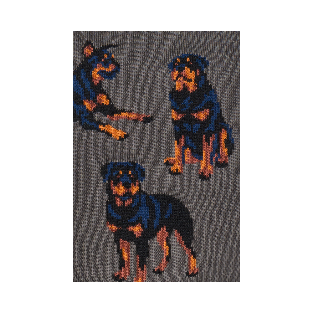 Vyrų kojinės „Rotveileriai“ 3