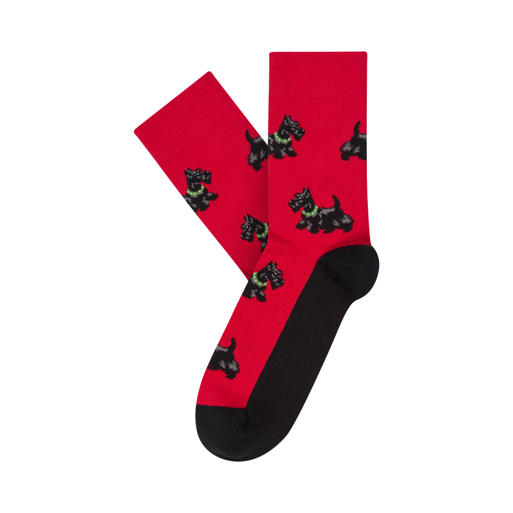 "Scottish Terriers" 2