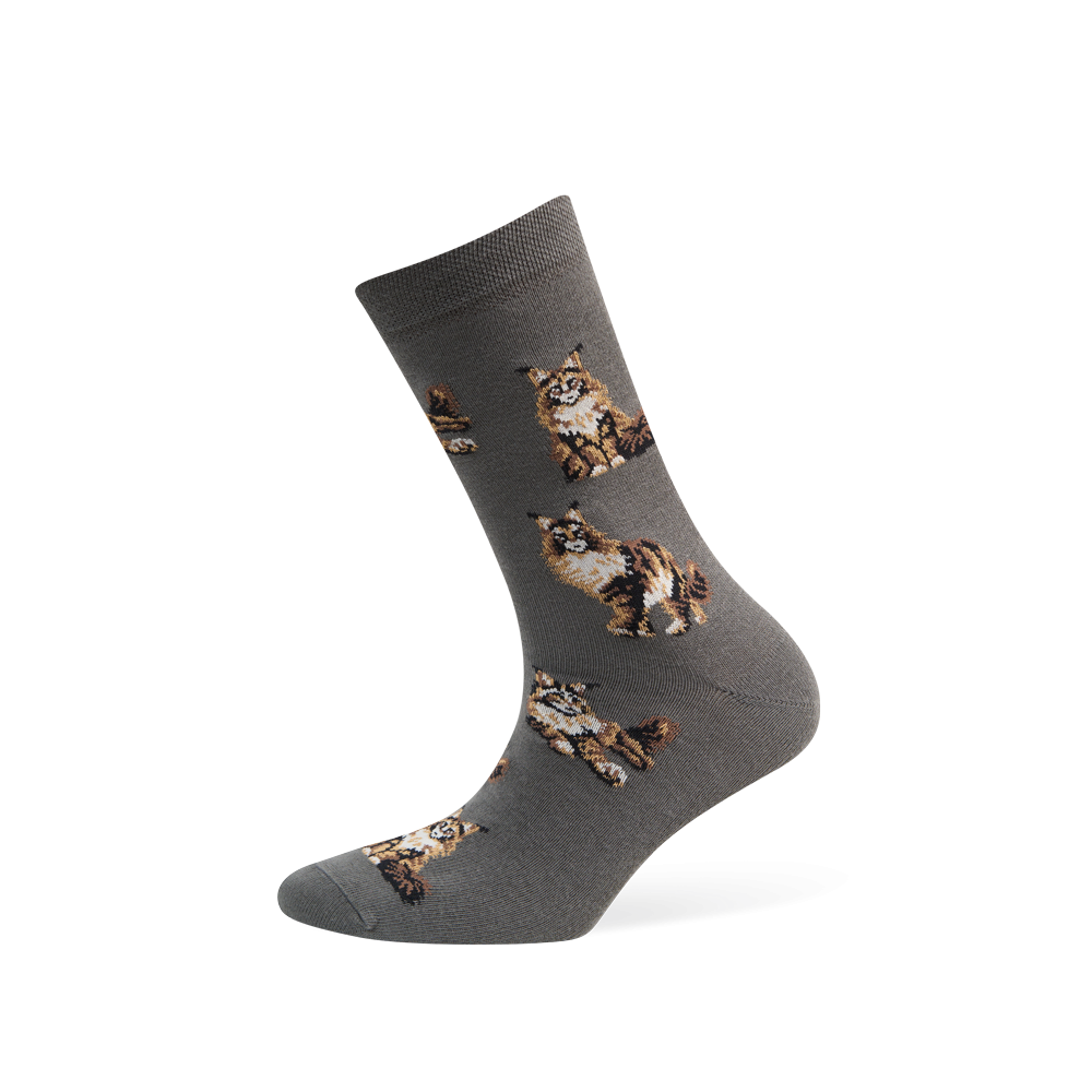 Moterų kojinės „Meino meškėnai“ 1