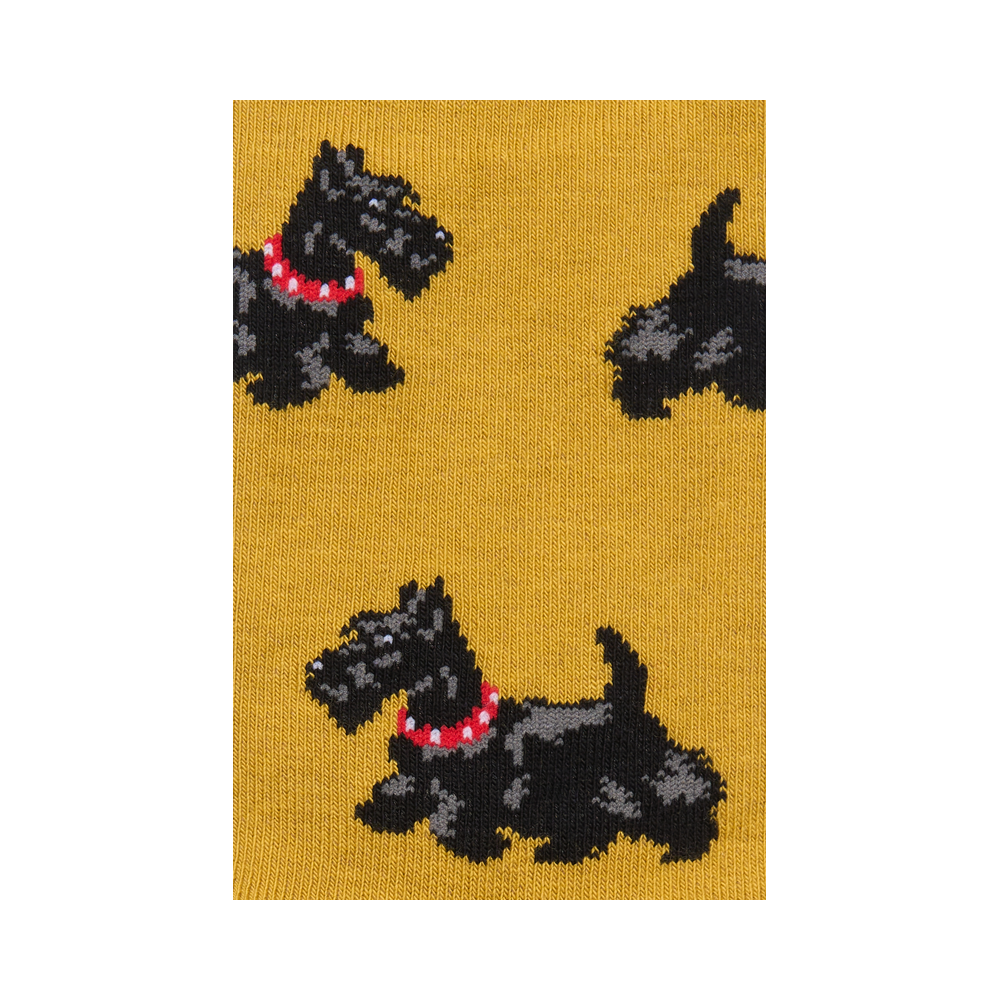 "Scottish Terriers" 2