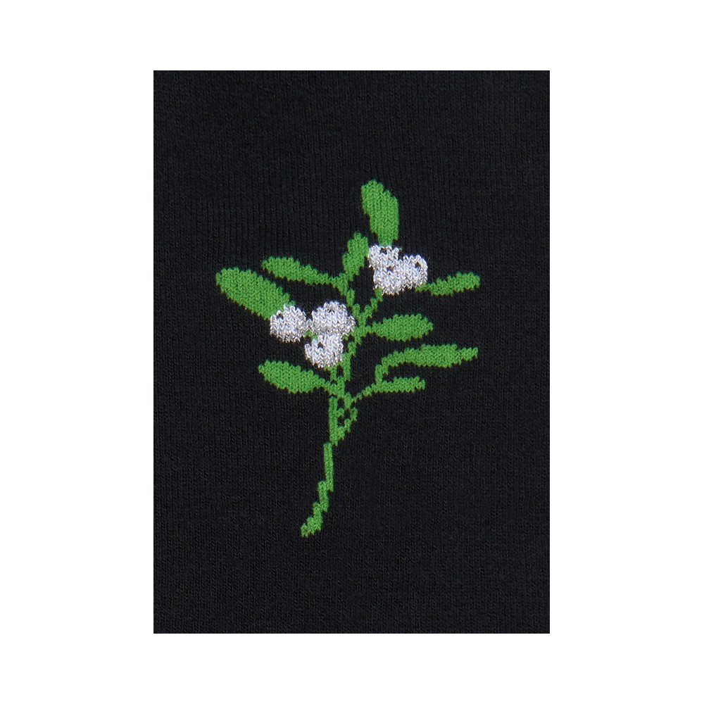 "Mistletoe sprig" 3