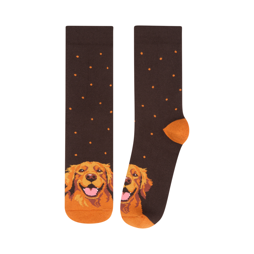 "Golden Retriever" 1