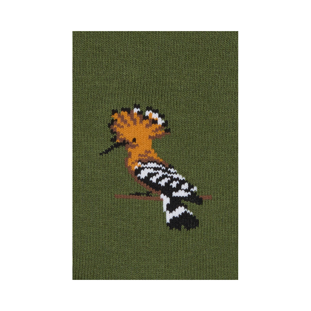 "Hoopoe" 2