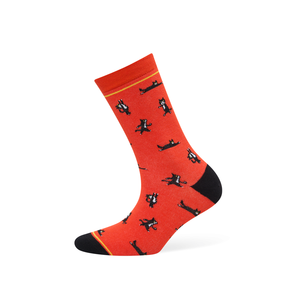 Kojinės „Maži katinai“ 1