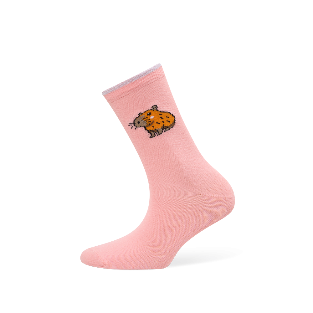 Kojinės „Kapibara“ 1