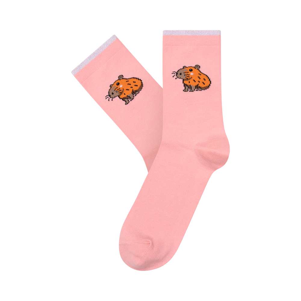 Kojinės „Kapibara“ 2