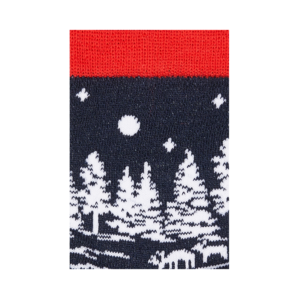 "Snowy forest" 2