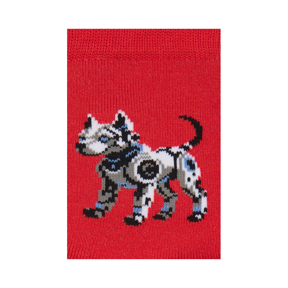 Vaikų kojinės „Šuo robotas“ 6