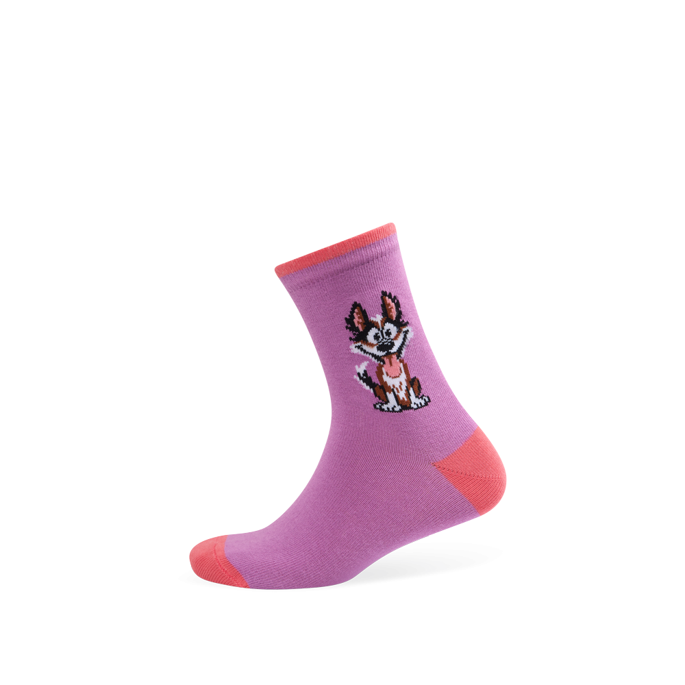 Vaikų kojinės „Šunelis“ 1