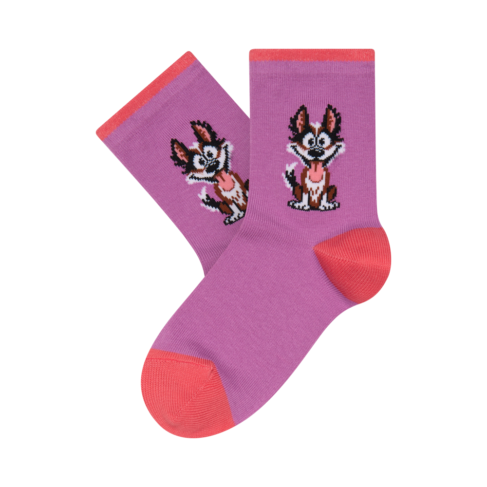 Vaikų kojinės „Šunelis“ 2