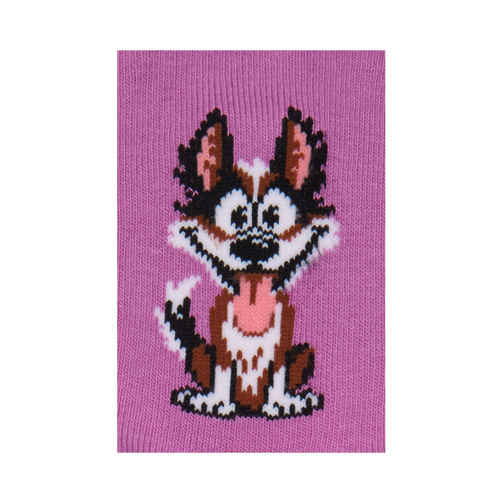 Vaikų kojinės „Šunelis“ 3