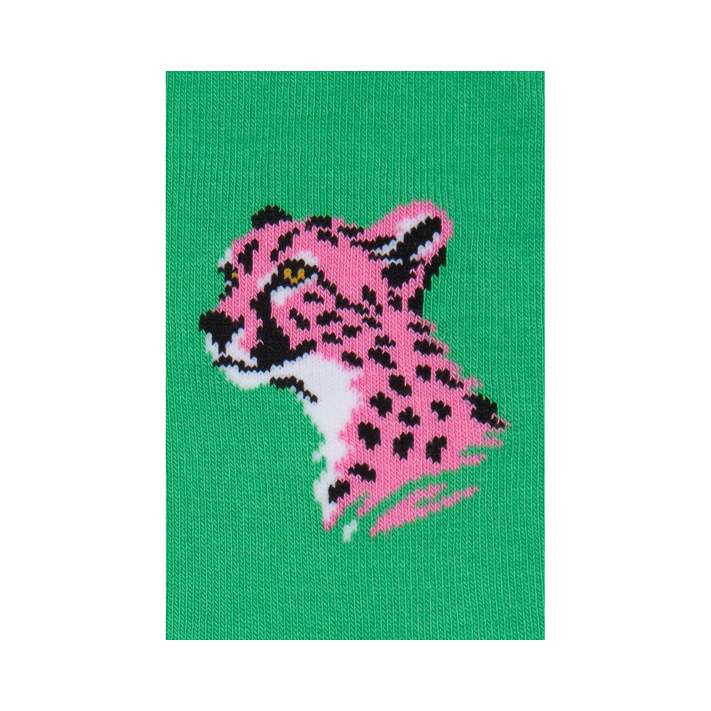 "Cheetah" 6