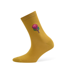 Moterų kojinės „Protėja“