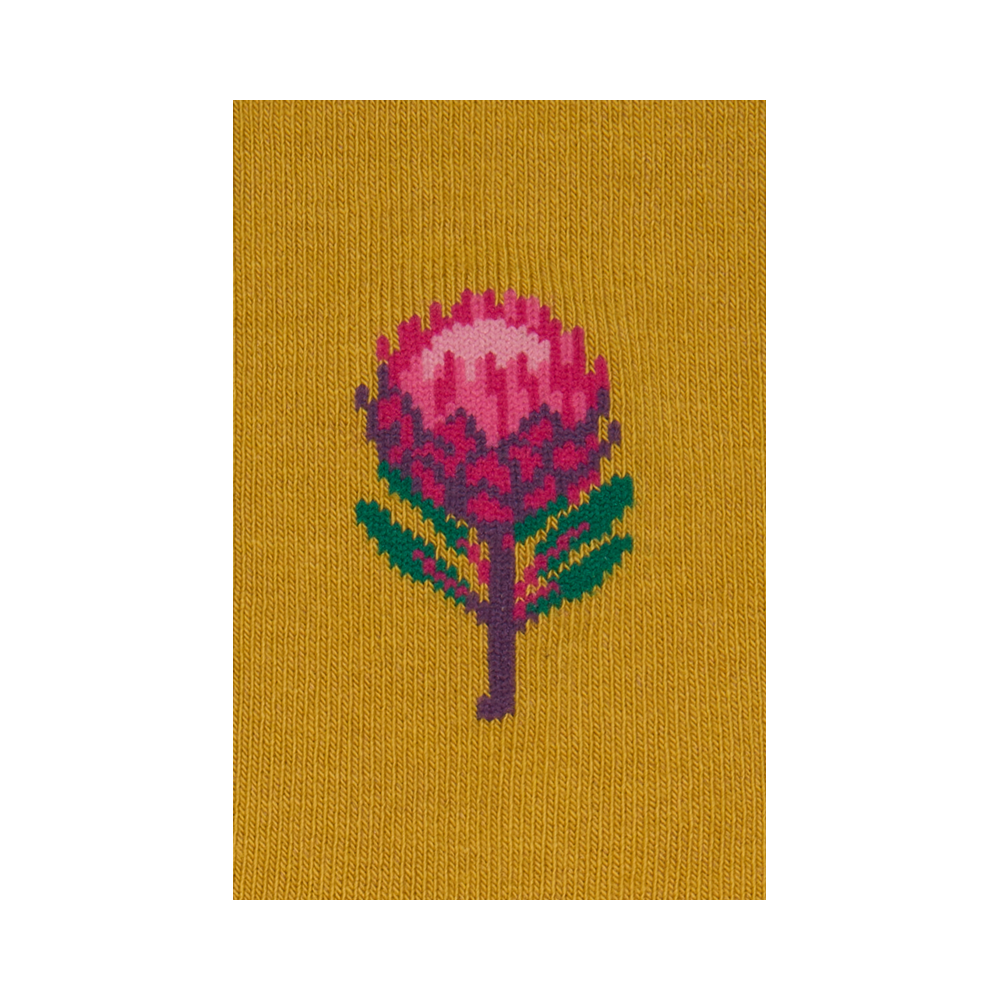 "Protea" 3