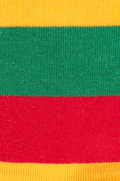 Moterų kojinės „LT trispalvė“
