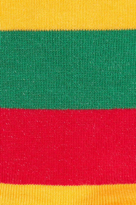 Moterų kojinės „LT trispalvė“