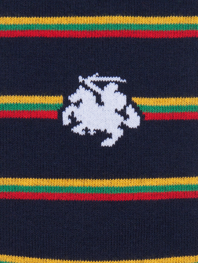 Vyrų kojinės „Vytis“