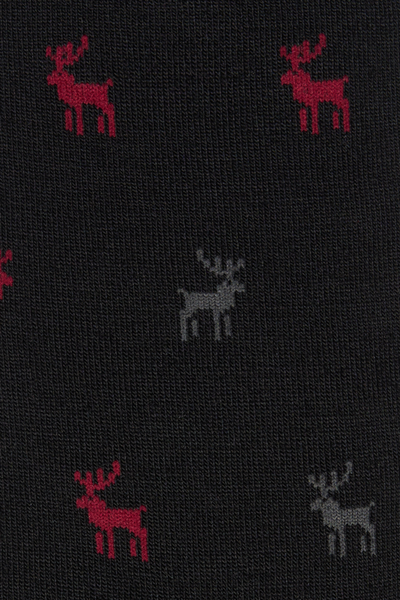 Vyrų kojinės „Wool Classics“