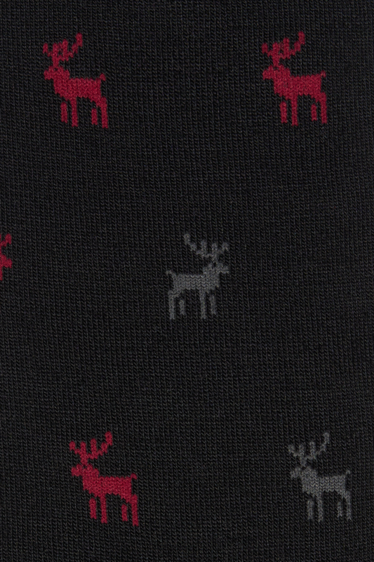 Vyrų kojinės „Wool Classics“