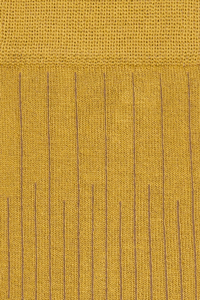 Moterų kojinės „Soft Bamboo Summer fancy“