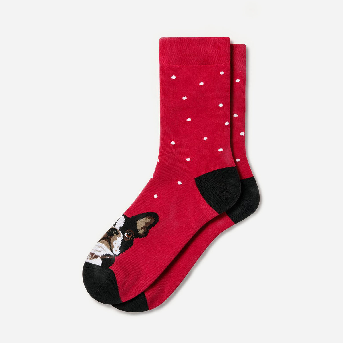 Christmas stocking "Boston Terrier"