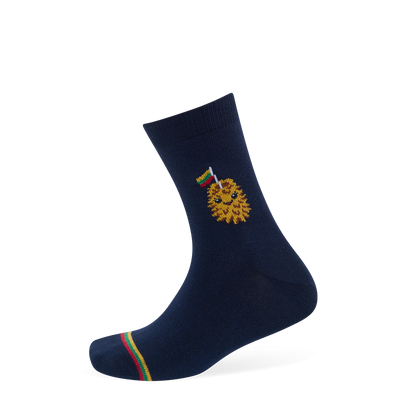 Vaikų kojinės „LT šakotis“