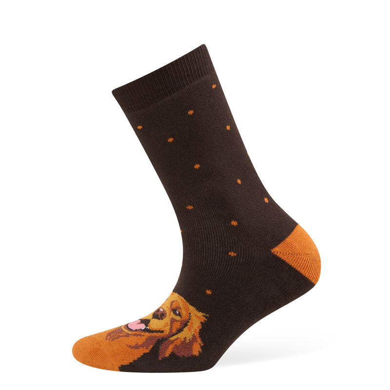Moterų kojinės „Auksaspalvis retriveris“
