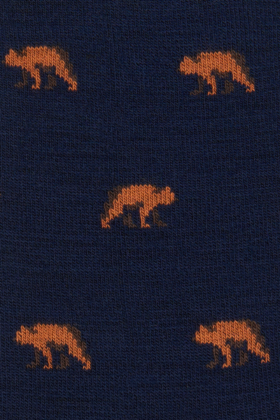 Vyrų kojinės „Wool Classics“