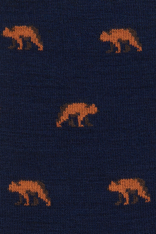 Vyrų kojinės „Wool Classics“