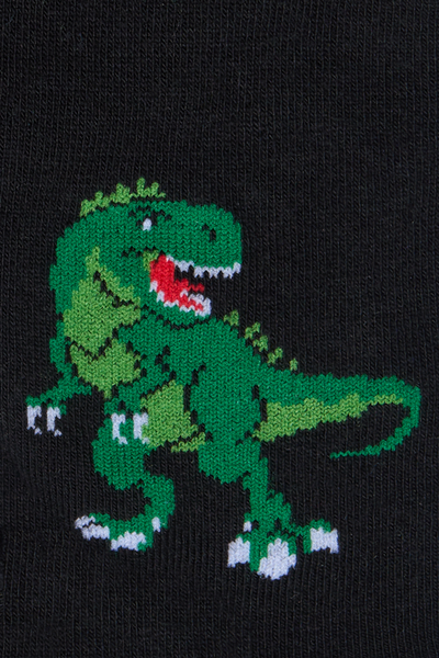 Vaikų pėdkelnės „Dinozauras”